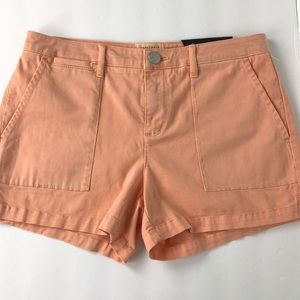 Sanctuary shorts size 26